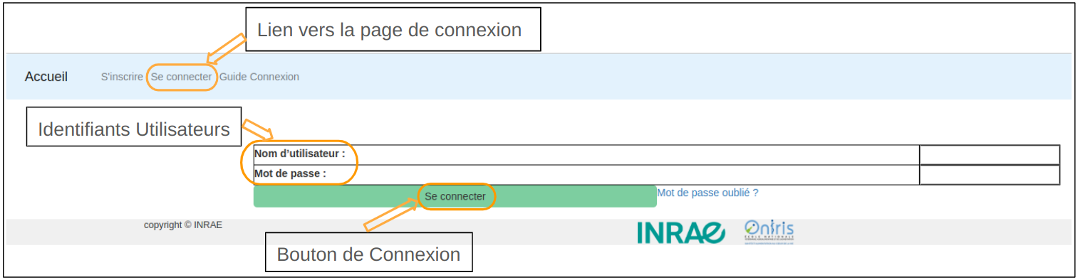 Example Image
