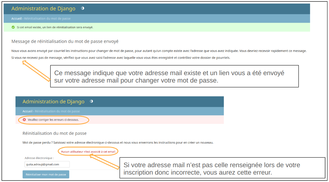 Example Image